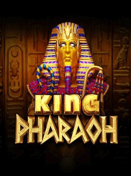 Exploring the Unique Features of VivaLive Casino Platforms